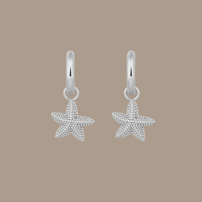 SEYCHELLES STARFISH EARRINGS | SILVER