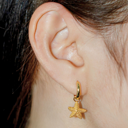 SEYCHELLES STARFISH EARRINGS | GOLD