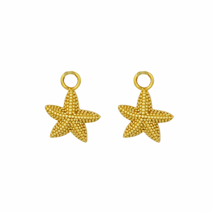 SEYCHELLES STARFISH EARRINGS | GOLD