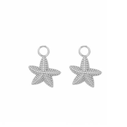 SEYCHELLES STARFISH EARRINGS | SILVER