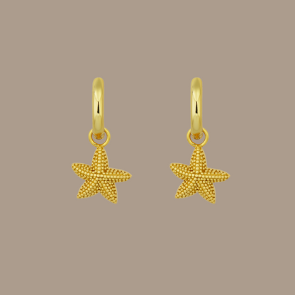 SEYCHELLES STARFISH EARRINGS | GOLD