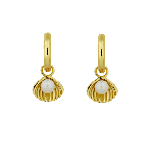 SEYCHELLES SHELL EARRINGS | GOLD